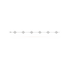 [Clover Jewelry]CLOVER 6 MOTIF SILVER DIAMOND BRACELET
